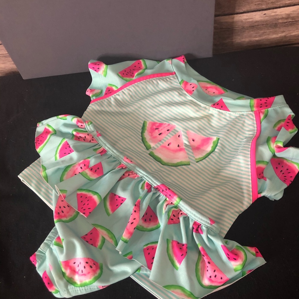 Watermelon Bikini - Picture 2 of 8